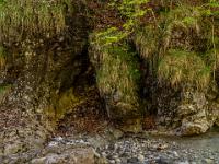 Felsen im Grießbach vor bewachsener Steilwand